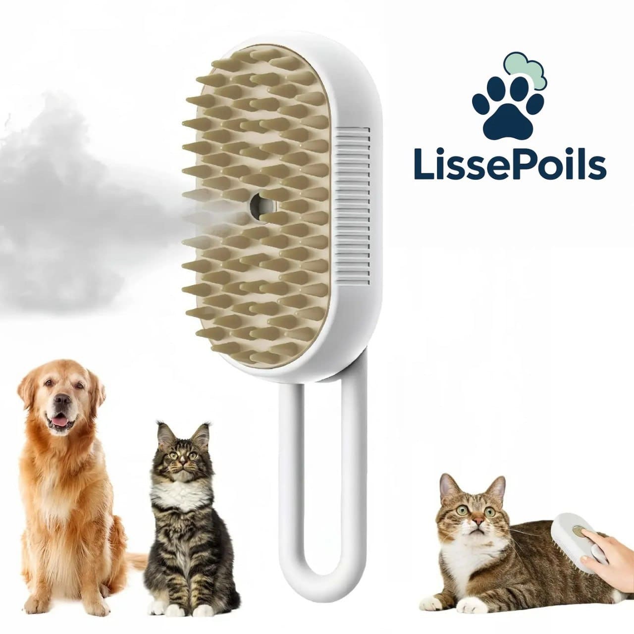 Profil de la brosse avec poignée boucle et bouchon du réservoir